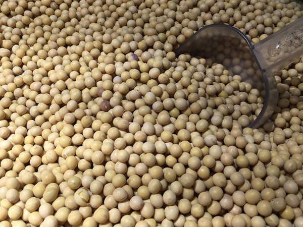 大牛配资网 印度军方宣布成功测试一款新型水雷