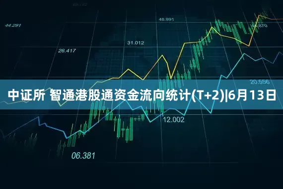 中证所 智通港股通资金流向统计(T+2)|6月13日