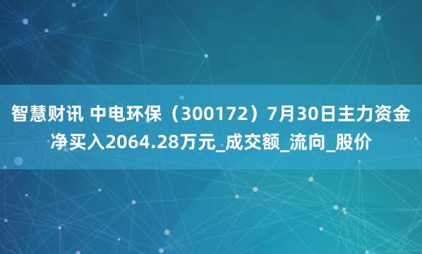 智慧财讯 中电环保（300172）7月30日主力资金净买入2064.28万元_成交额_流向_股价