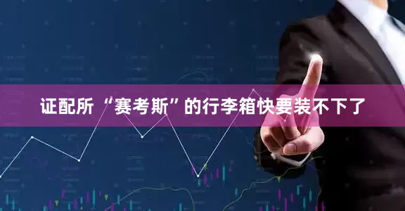 证配所 “赛考斯”的行李箱快要装不下了